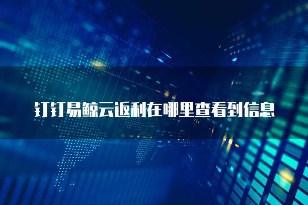 钉钉易鲸云返利在哪里查看到信息