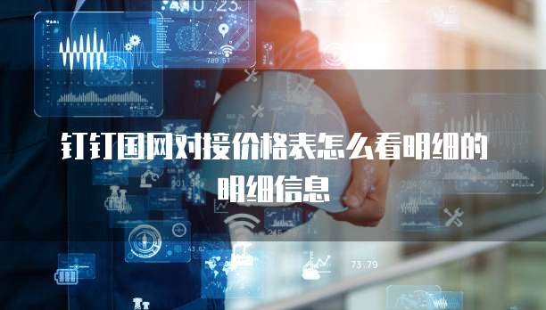 钉钉国网对接价格表怎么看明细的明细信息