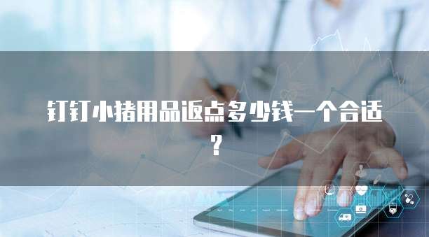 钉钉小猪用品返点多少钱一个合适?
