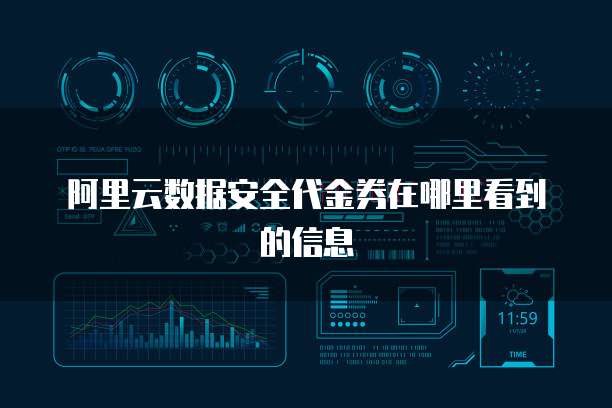 阿里云数据安全代金券在哪里看到的信息