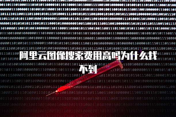 阿里云图像搜索费用高吗为什么找不到