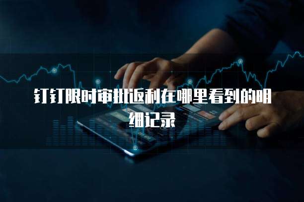 钉钉限时审批返利在哪里看到的明细记录