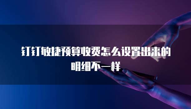 钉钉敏捷预算收费怎么设置出来的明细不一样