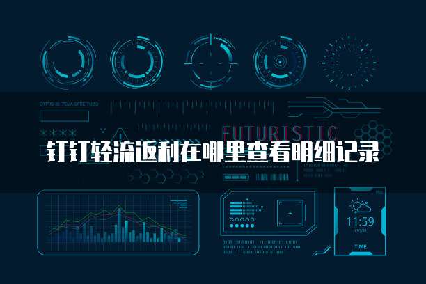 钉钉轻流返利在哪里查看明细记录