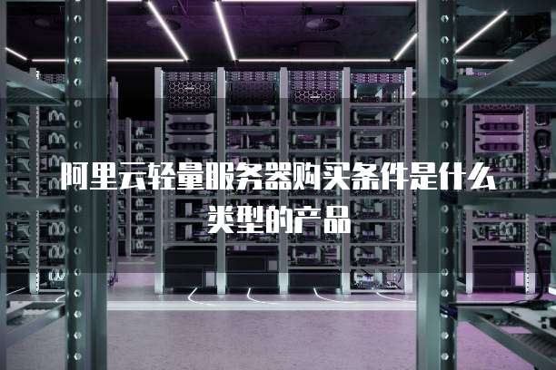 阿里云轻量服务器购买条件是什么类型的产品