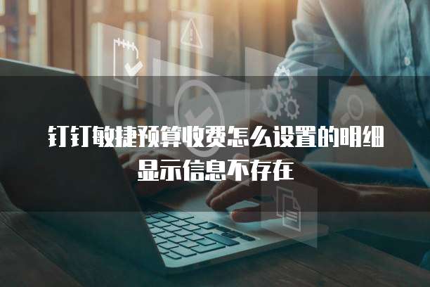 钉钉敏捷预算收费怎么设置的明细显示信息不存在