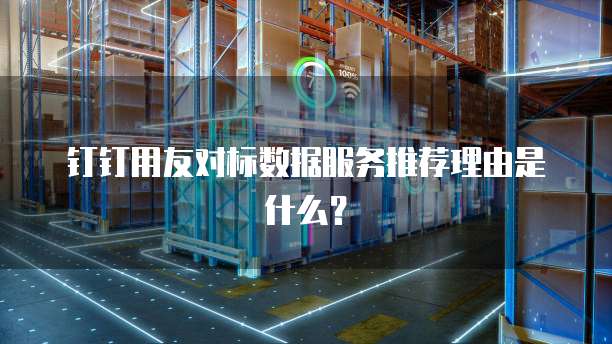 钉钉用友对标数据服务推荐理由是什么?