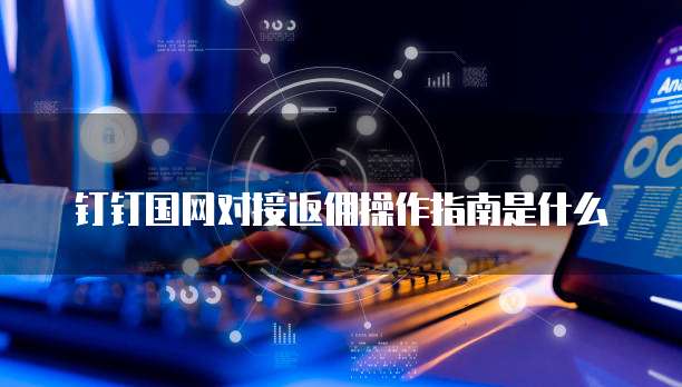 钉钉国网对接返佣操作指南是什么