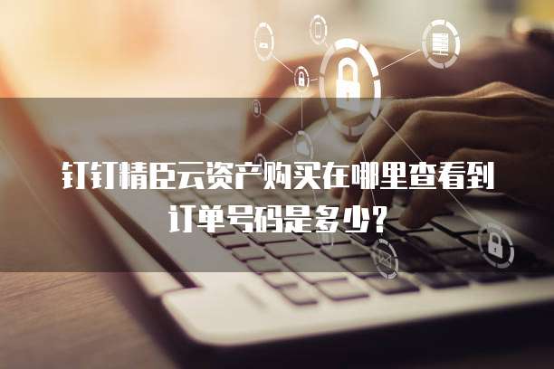 钉钉精臣云资产购买在哪里查看到订单号码是多少?