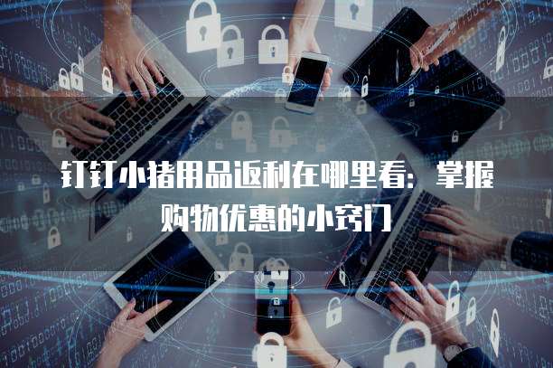 钉钉小猪用品返利在哪里看:掌握购物优惠的小窍门