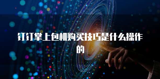 钉钉掌上包机购买技巧是什么操作的