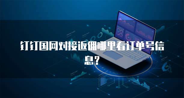 钉钉国网对接返佣哪里看订单号信息?