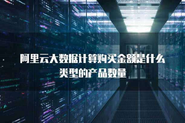 阿里云大数据计算购买金额是什么类型的产品数量