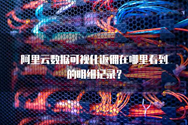 阿里云数据可视化返佣在哪里看到的明细记录?
