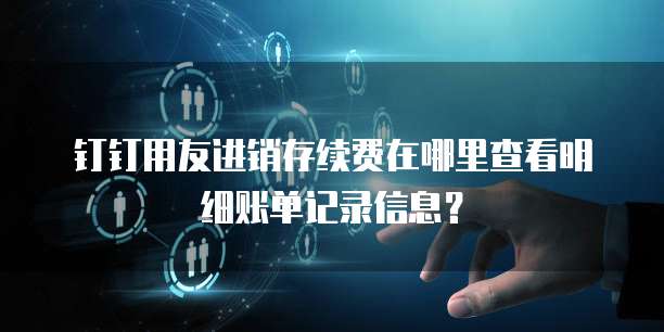 钉钉用友进销存续费在哪里查看明细账单记录信息?