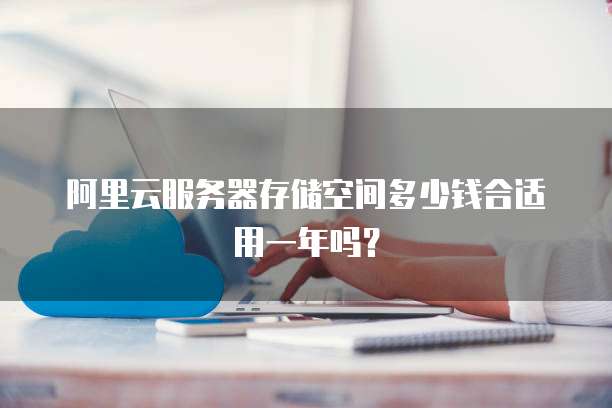 阿里云服务器存储空间多少钱合适用一年吗?