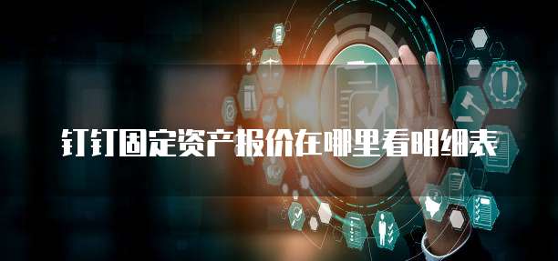 钉钉固定资产报价在哪里看明细表