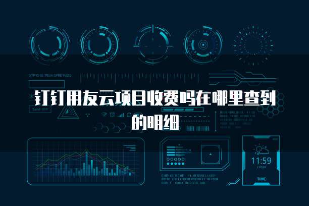 钉钉用友云项目收费吗在哪里查到的明细