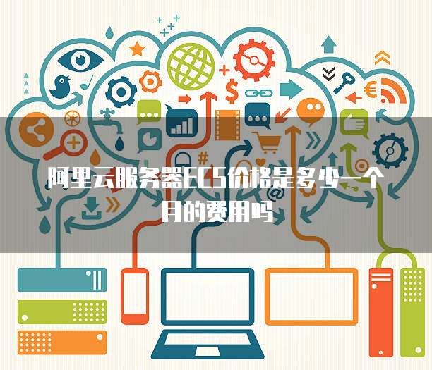 阿里云服务器ECS价格是多少一个月的费用吗