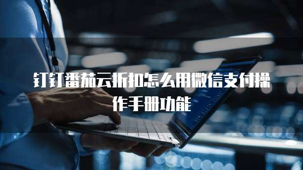 钉钉番茄云折扣怎么用微信支付操作手册功能