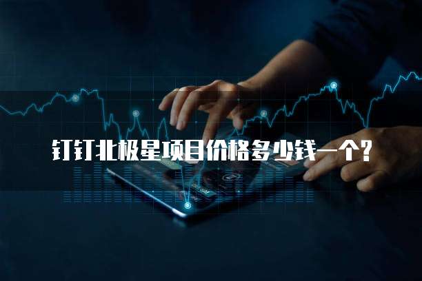钉钉北极星项目价格多少钱一个?