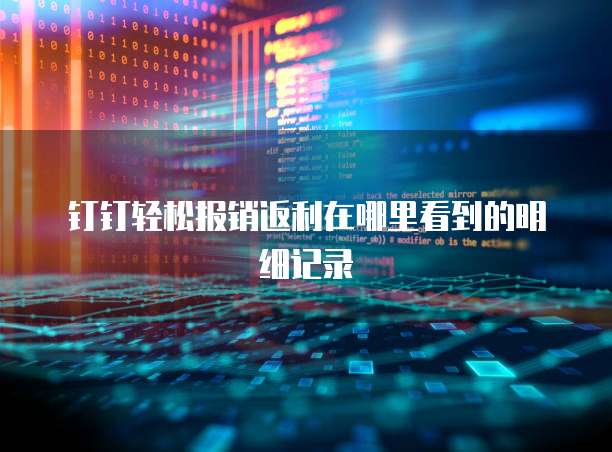 钉钉轻松报销返利在哪里看到的明细记录