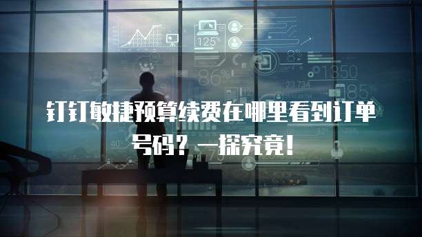钉钉敏捷预算续费在哪里看到订单号码?一探究竟!