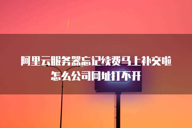 阿里云服务器忘记续费马上补交啦怎么公司网址打不开