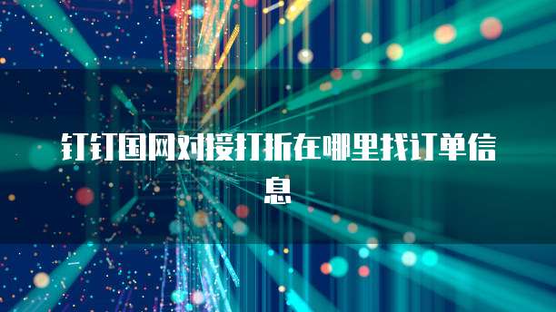 钉钉国网对接打折在哪里找订单信息
