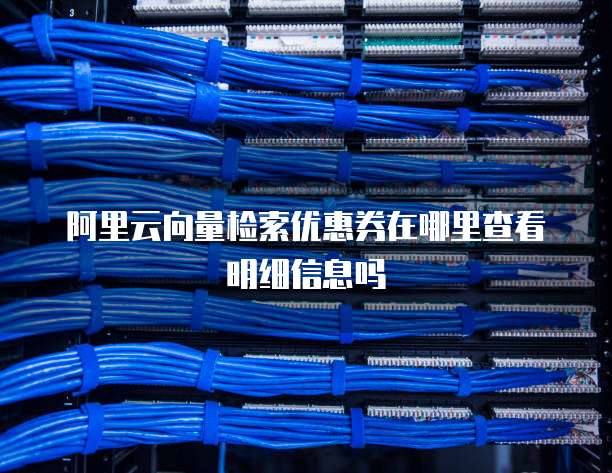 阿里云向量检索优惠券在哪里查看明细信息吗