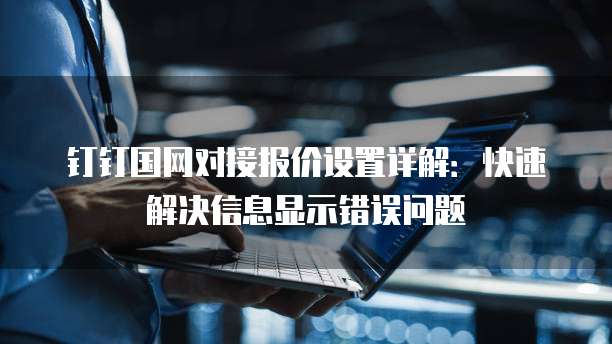 钉钉国网对接报价设置详解:快速解决信息显示错误问题