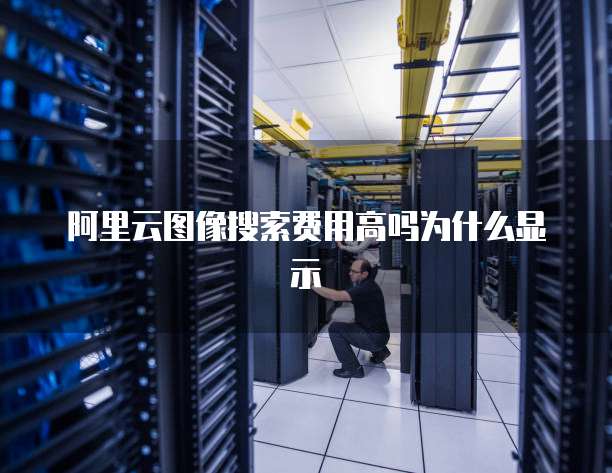 阿里云图像搜索费用高吗为什么显示