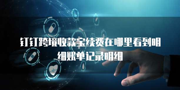 钉钉跨境收款宝续费在哪里看到明细账单记录明细