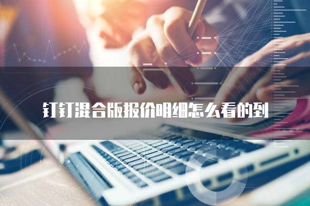 钉钉混合版报价明细怎么看的到