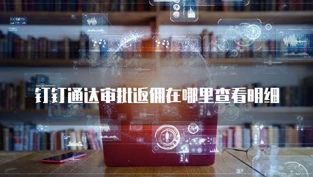 钉钉通达审批返佣在哪里查看明细