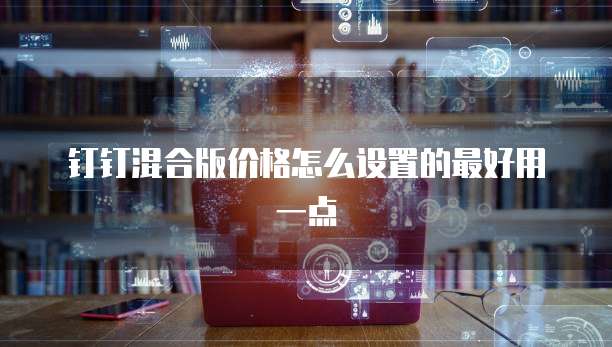 钉钉混合版价格怎么设置的最好用一点