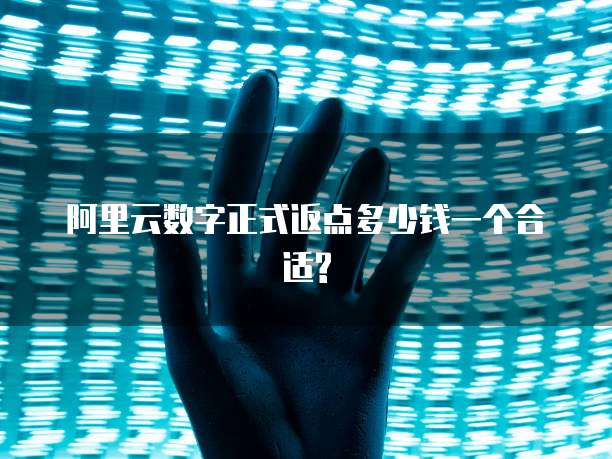 阿里云数字正式返点多少钱一个合适?