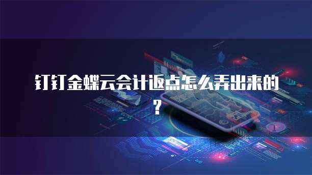 钉钉金蝶云会计返点怎么弄出来的?