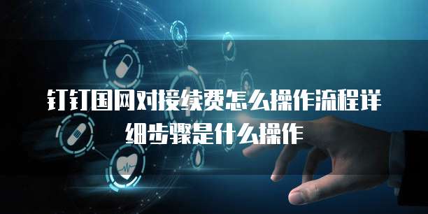 钉钉国网对接续费怎么操作流程详细步骤是什么操作