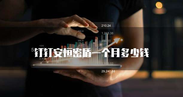 钉钉安恒密盾一个月多少钱