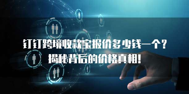 钉钉跨境收款宝报价多少钱一个?揭秘背后的价格真相!