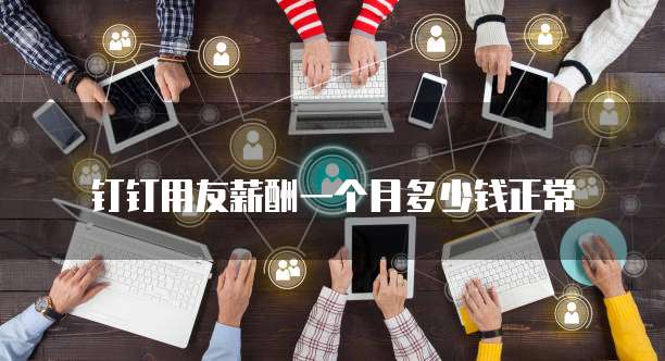 钉钉用友薪酬一个月多少钱正常