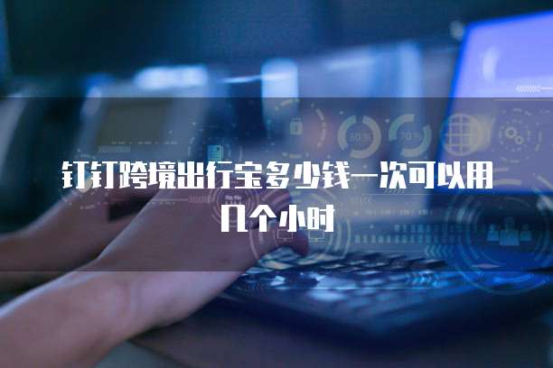 钉钉跨境出行宝多少钱一次可以用几个小时