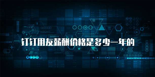 钉钉用友薪酬价格是多少一年的