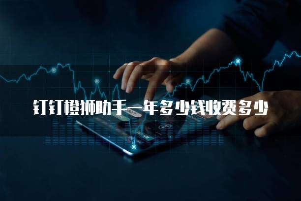 钉钉橙狮助手一年多少钱收费多少