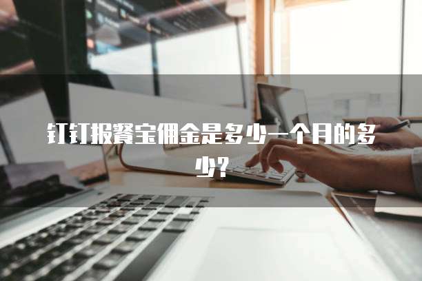 钉钉报餐宝佣金是多少一个月的多少?