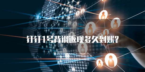 钉钉1号背调返现多久到账？