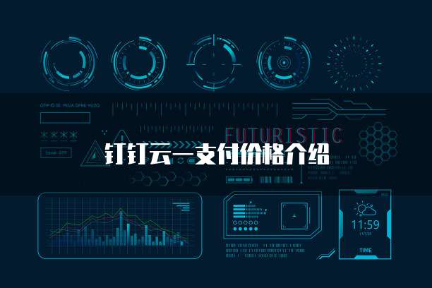 钉钉云一支付价格介绍