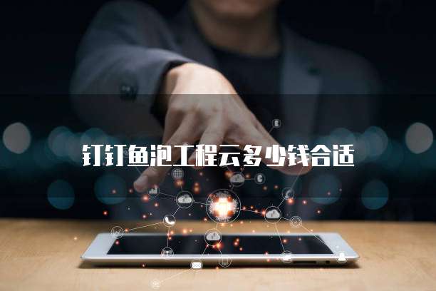 钉钉鱼泡工程云多少钱合适