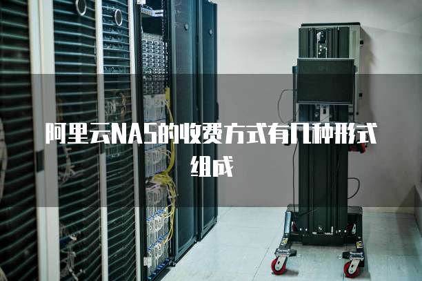 阿里云NAS的收费方式有几种形式组成